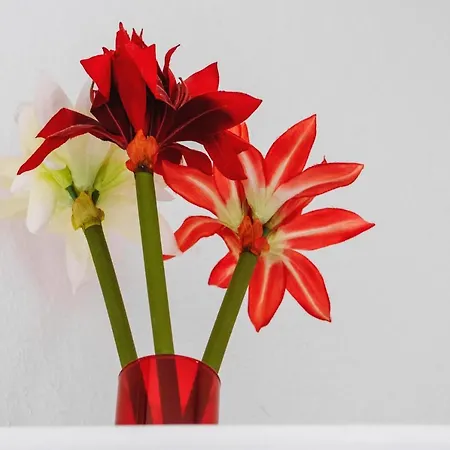 Bertha بيت ضيافة