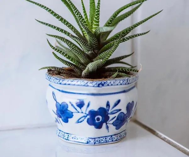 Bertha 게스트하우스