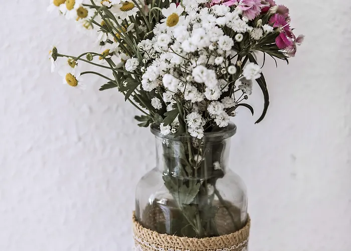 게스트하우스 Bertha 3*