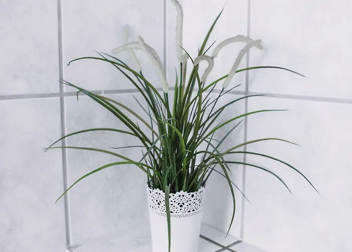 Bertha 게스트하우스 3*